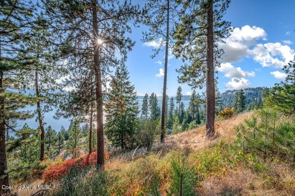 NNA Bedrock DR, Harrison, ID 83833 - #1