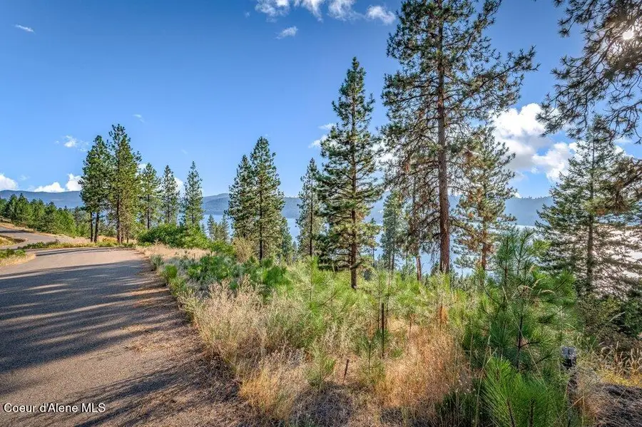 NNA Bedrock DR, Harrison, ID 83833 - #2