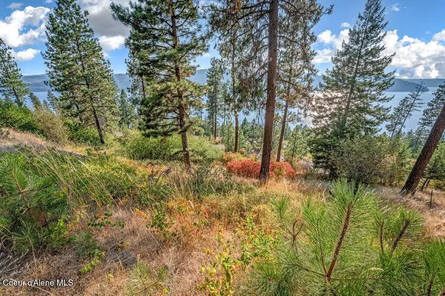 NNA Bedrock DR, Harrison, ID 83833 - #3