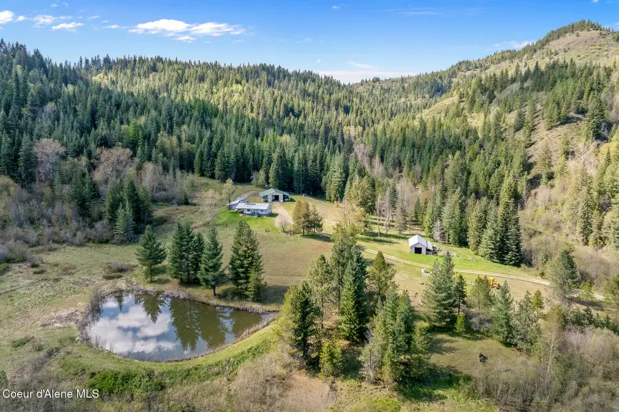 1791 Pup Paw Trl #144.5 Acres, Priest River, ID 83856 - #3