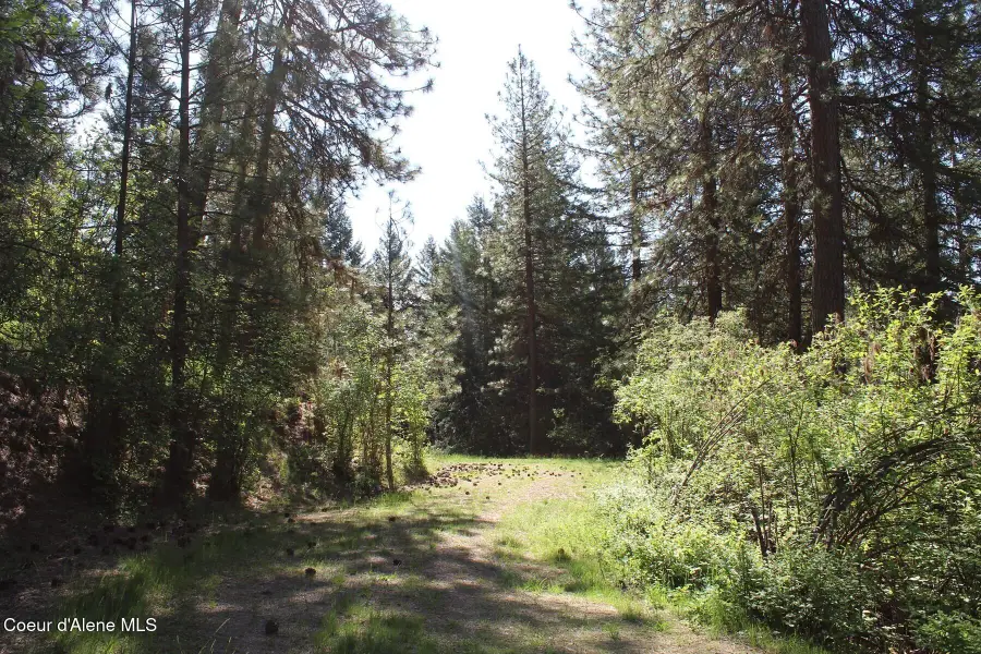 881 S Allen Rd, Coeur Dalene, ID 83814 - #3