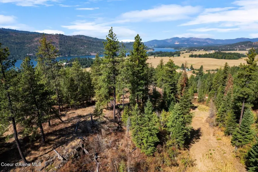 Lot 3B Moose Mountain Rd, Priest River, ID 83856 - #3