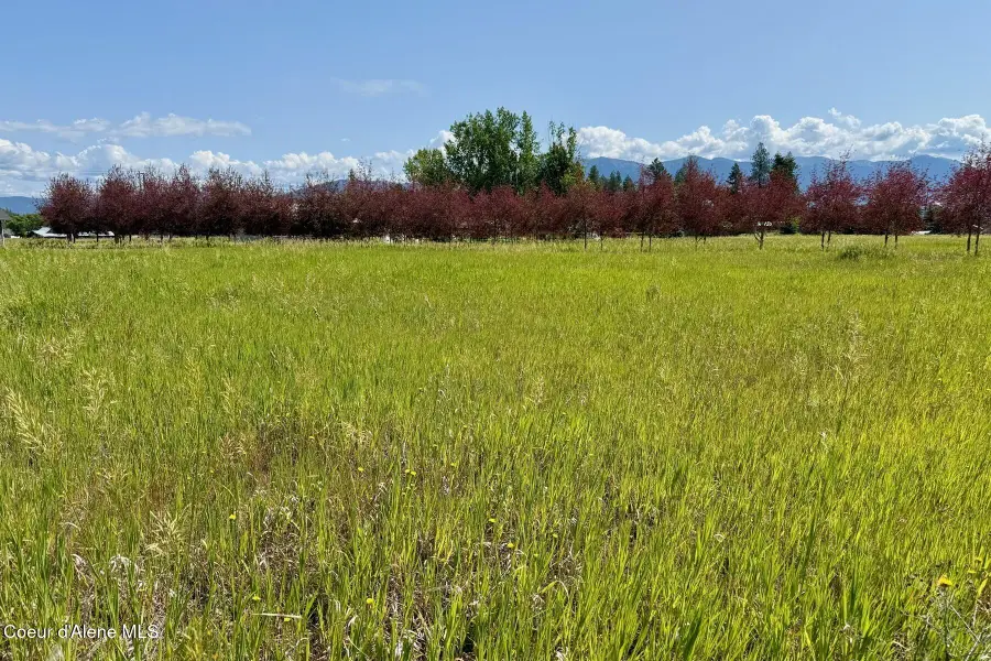 NNA W Mountainview Rd 130A, Moyie Springs, ID 83845 - #3