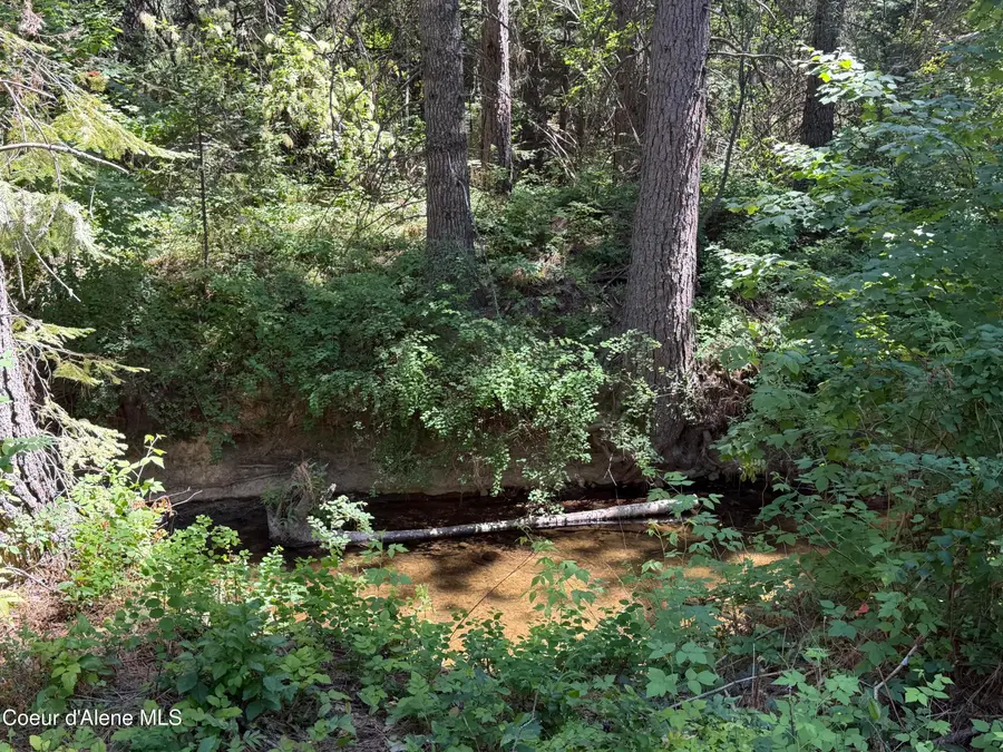 NNA Gunning Rd., Rathdrum, ID 83858 - #3
