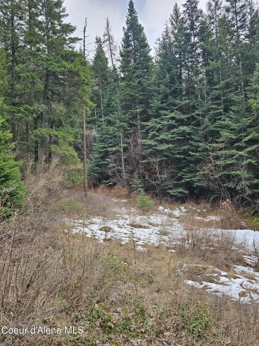 2252 E Badger Rd, Harrison, ID 83833 - Image #3