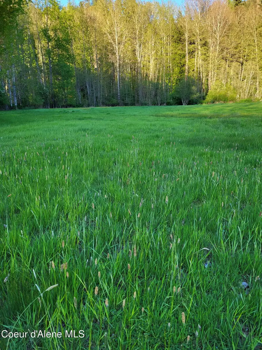 5101 Deep Creek Loop, Bonners Ferry, ID 83805 - #3