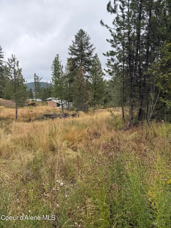 NKA F St, Plummer, ID 83851