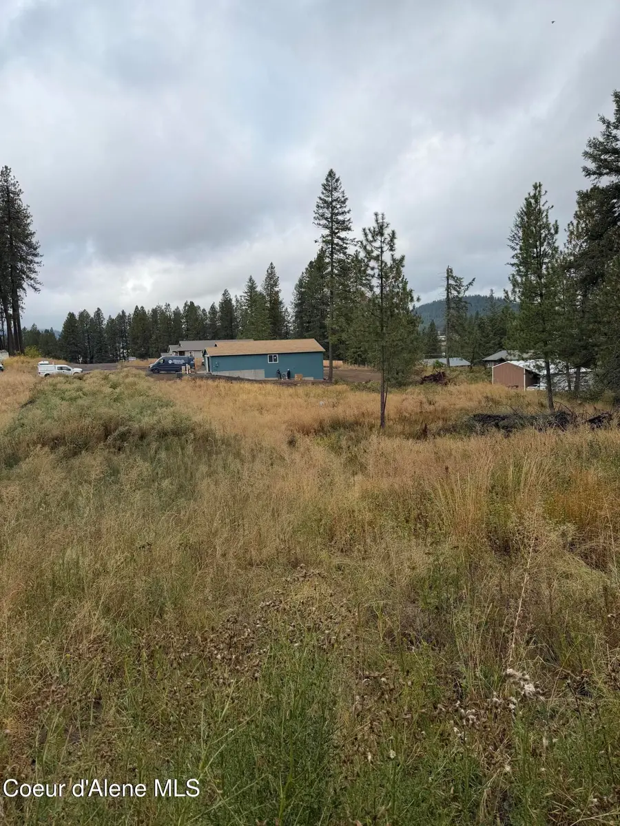 NKA F St, Plummer, ID 83851 - #2