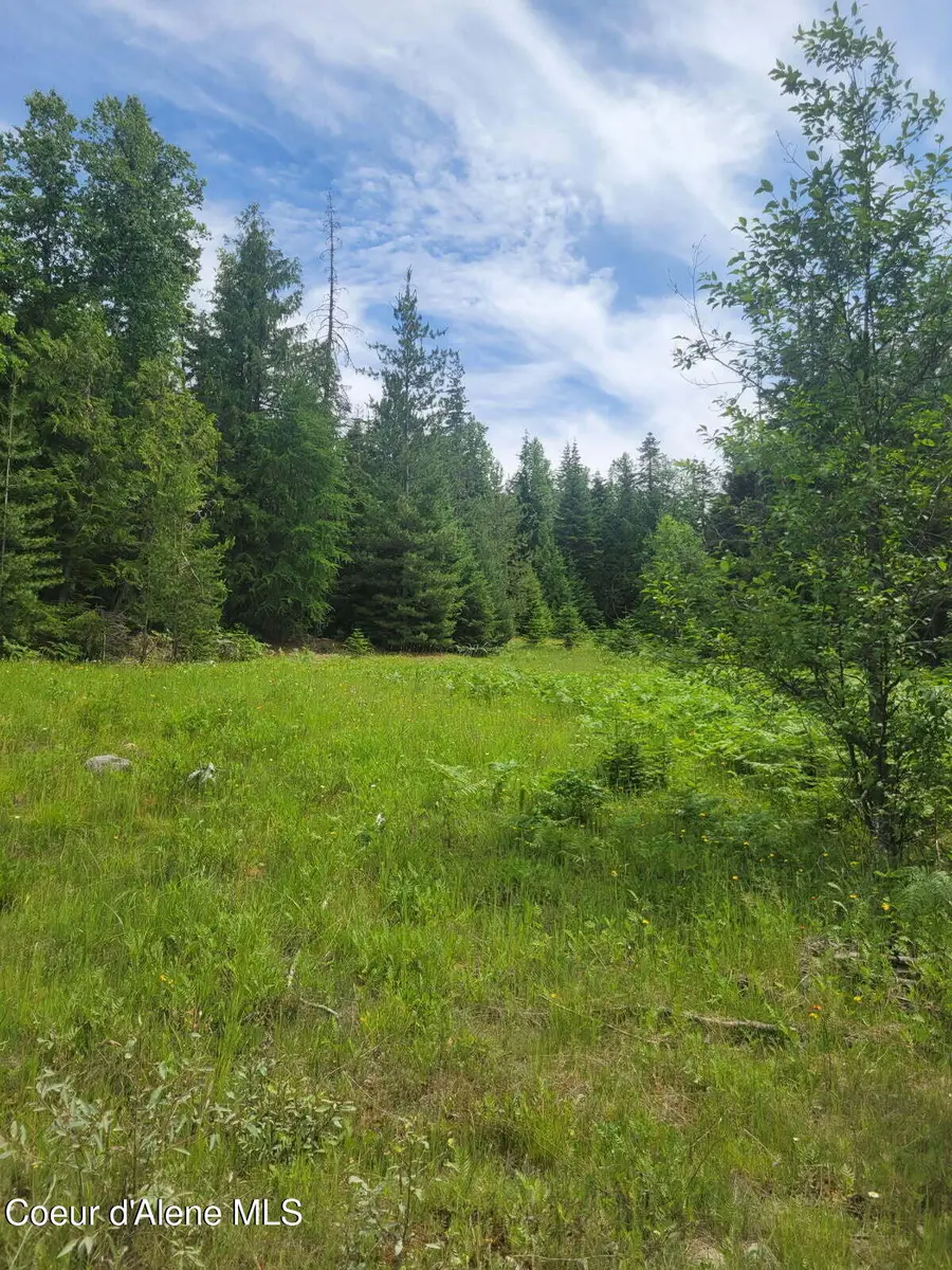 240 Rising Hawk Ridge Rd, Sandpoint, ID 83864 - #2