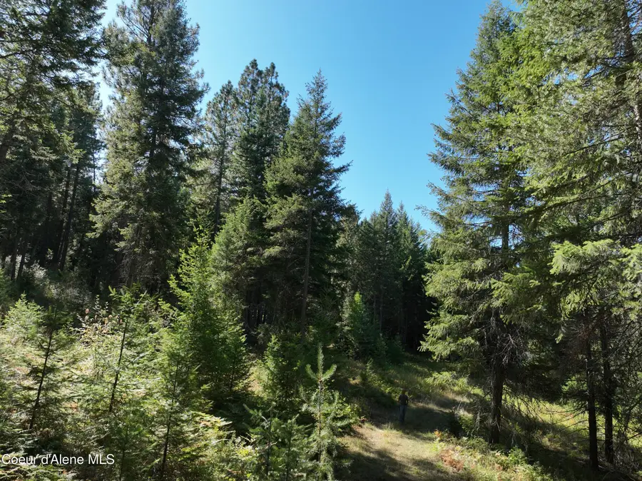 NNA Westmond Rd, Sagle, ID 83860 - #3