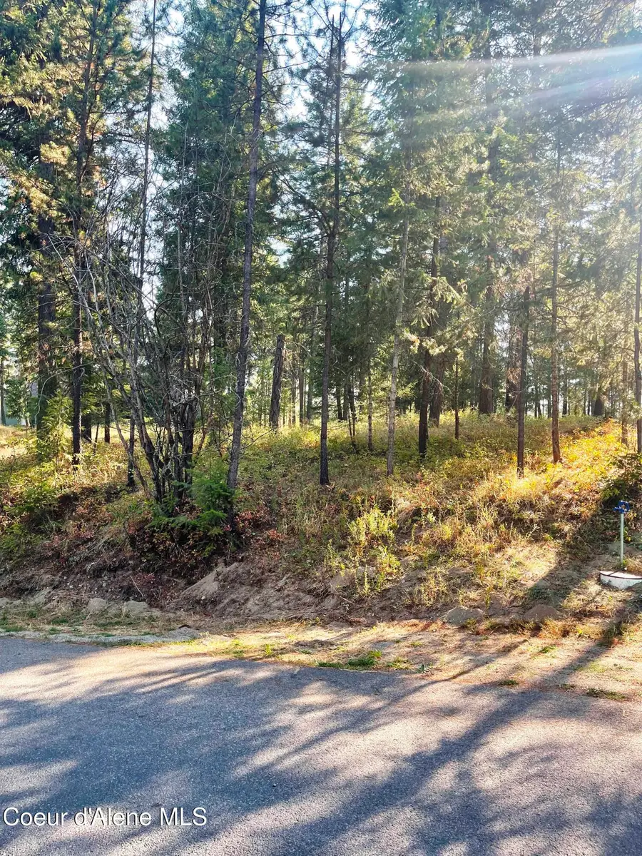 NNA Lake Sans Souci Dr., Blanchard, ID 83804 - #2