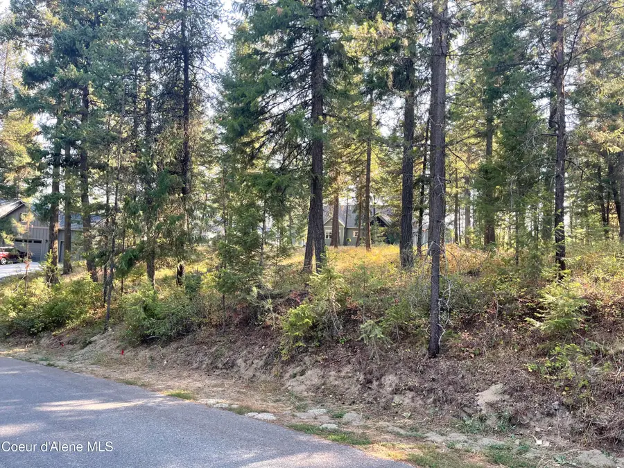 NNA Lake Sans Souci Dr., Blanchard, ID 83804 - #3