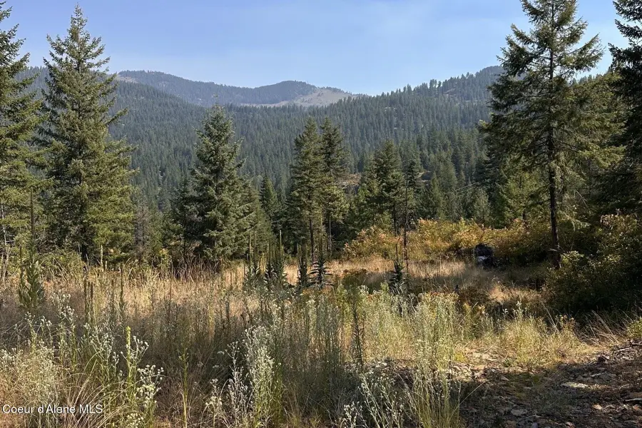 Lot 2 Stonegate Drive, Priest River, ID 83856 - #3
