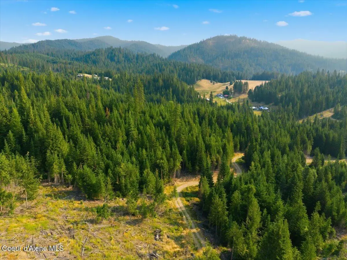 NKA 198 Ac S Service Creek Rd, Cataldo, ID 83810 - #1