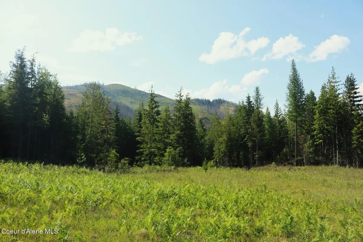 NKA Slippery Slope Trail, Priest River, ID 83856 - #1