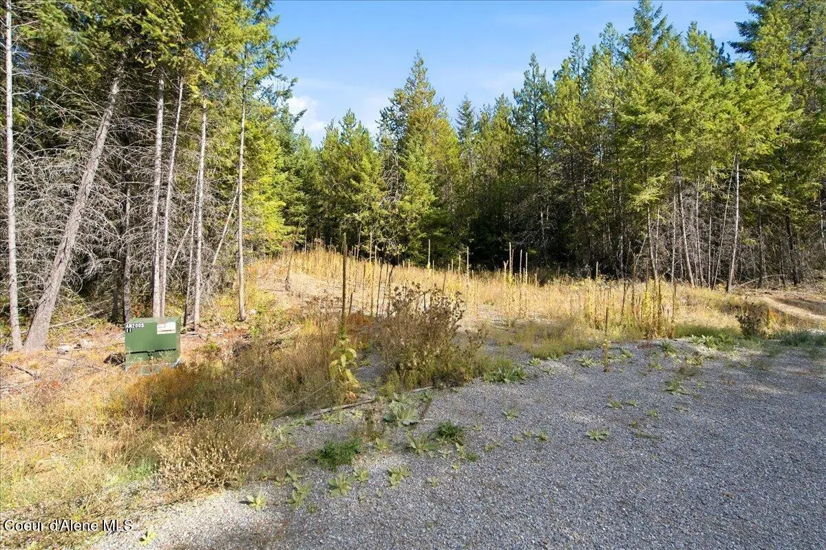 Lot 3 Sawbuck Rd, Spirit Lake, ID 83869 - #1