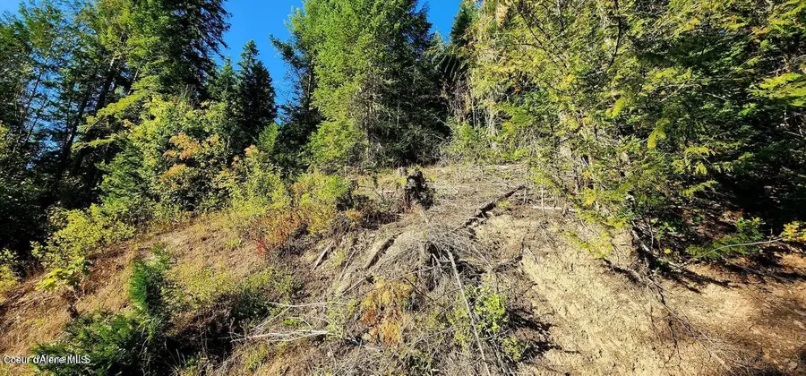 1530 Dusty Ln, Saint Maries, ID 83861 - #3