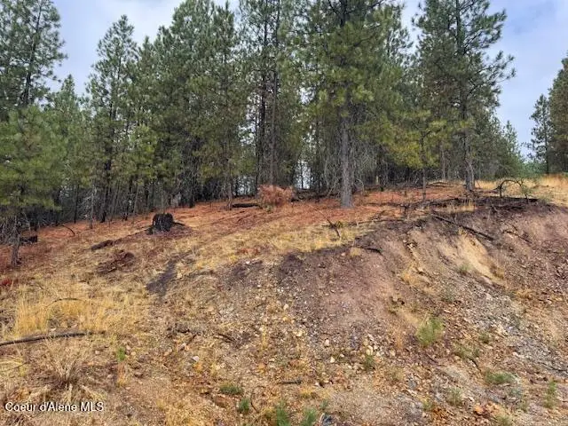 NKA Parcel A, Pinehurst, ID 83850 - #3