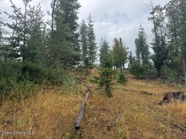 NKA Parcel B, Pinehurst, ID 83850 - #2