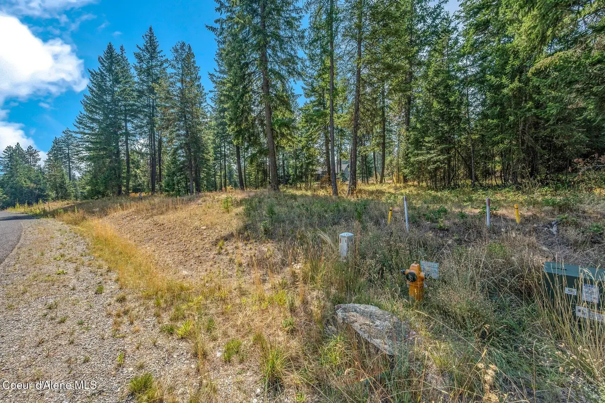 L4B1 N Walden Loop, Rathdrum, ID 83858 - #1