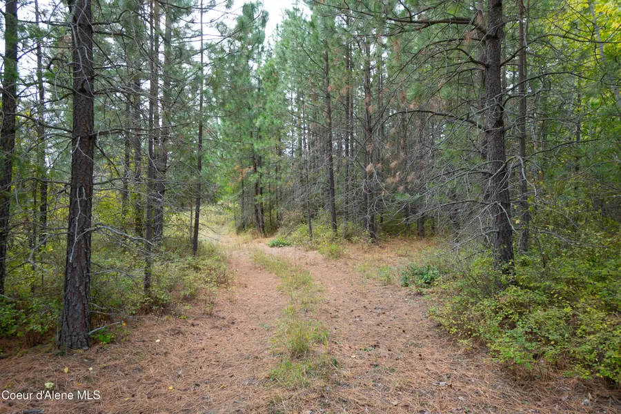 NNA Rock Creek Rd, Bonners Ferry, ID 83805 - #2