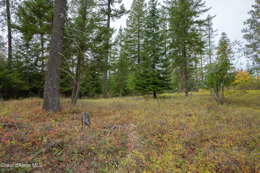 NNA Rock Creek Rd, Bonners Ferry, ID 83805 - #3