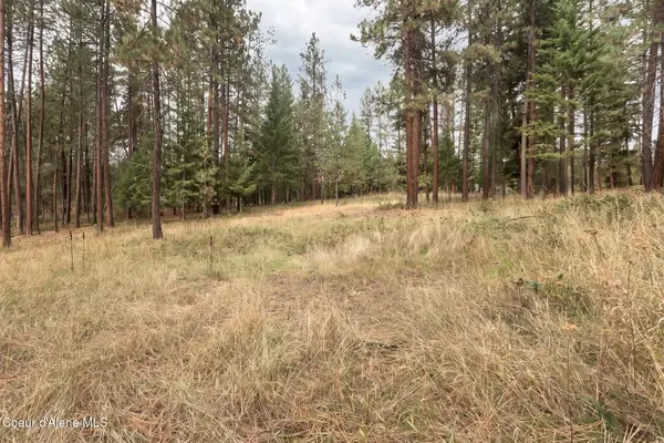 (Lot 19) Canterbury Ct, Moyie Springs, ID 83845