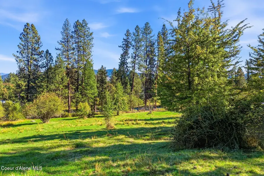124 Lower Syringa Rd, Dover, ID 83825 - #2