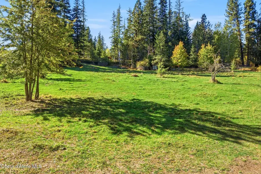124 Lower Syringa Rd, Dover, ID 83825 - #3