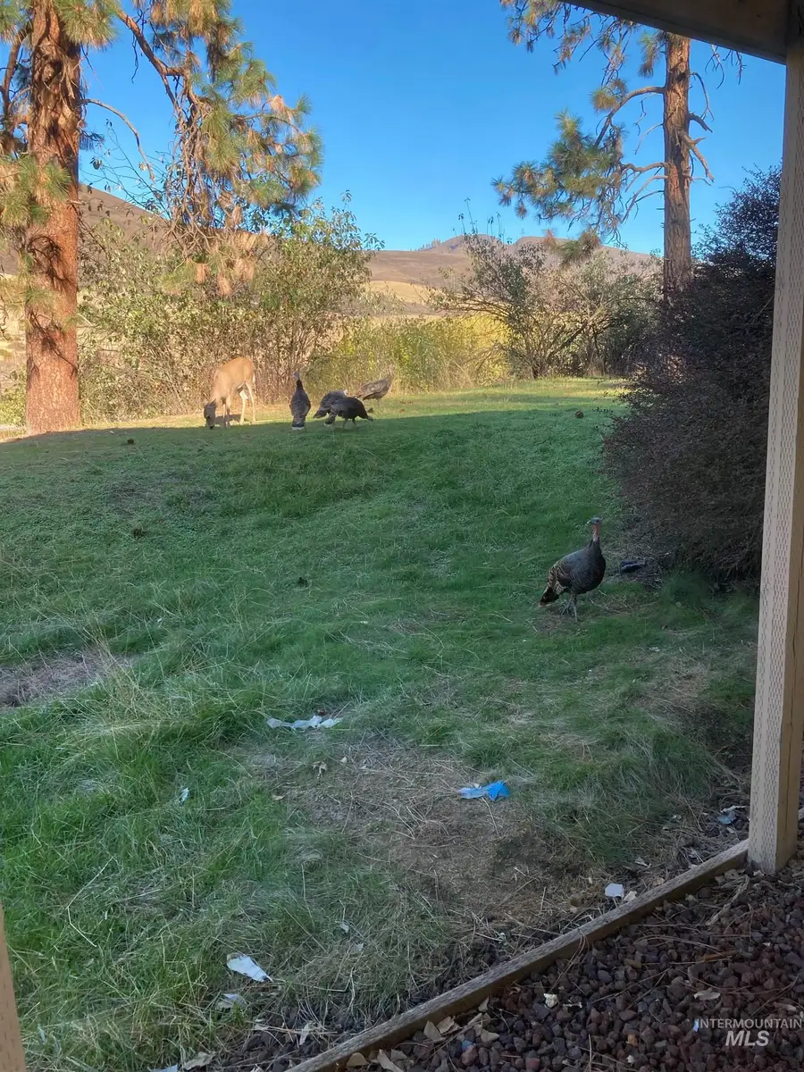 18699 Family Lane, Lenore, ID 83541 - Image #3