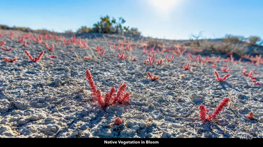 40.697201, -113.517165, Wendover, UT 84083 - Image #3