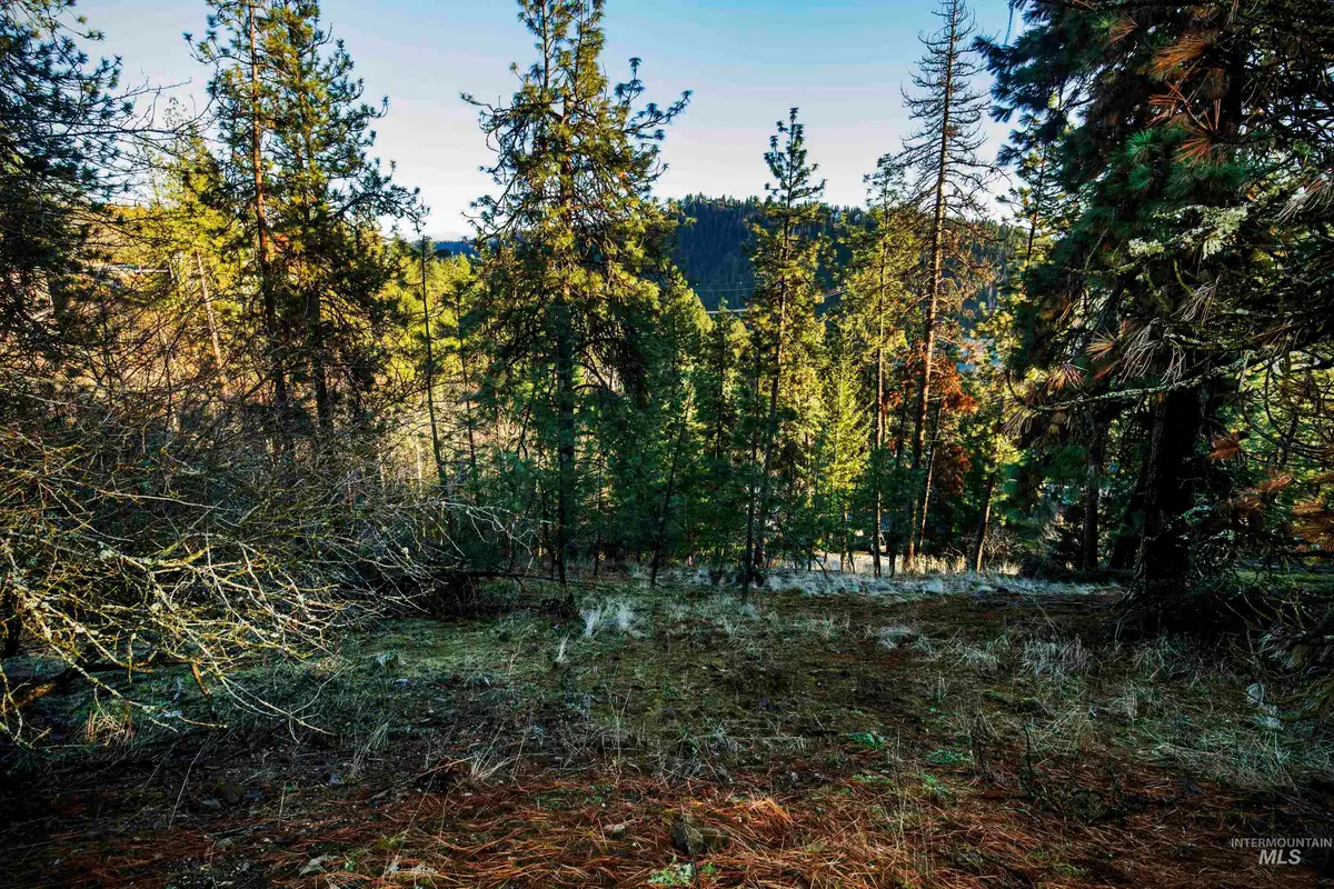 NNA E Fernan Hill Rd., Coeur Dalene, ID 83814 - Image #1