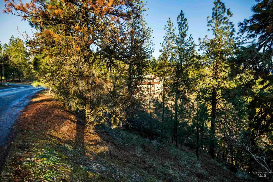 NNA E Fernan Hill Rd., Coeur Dalene, ID 83814 - Image #2