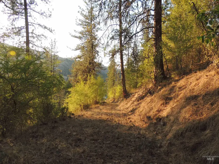 3976 Highway 13, Stites, ID 83552 - Image #3