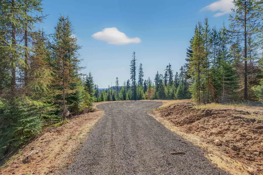 TBD Parcel 3 Tree Farm Trails Road, Elk City, ID 83525 - Image #3