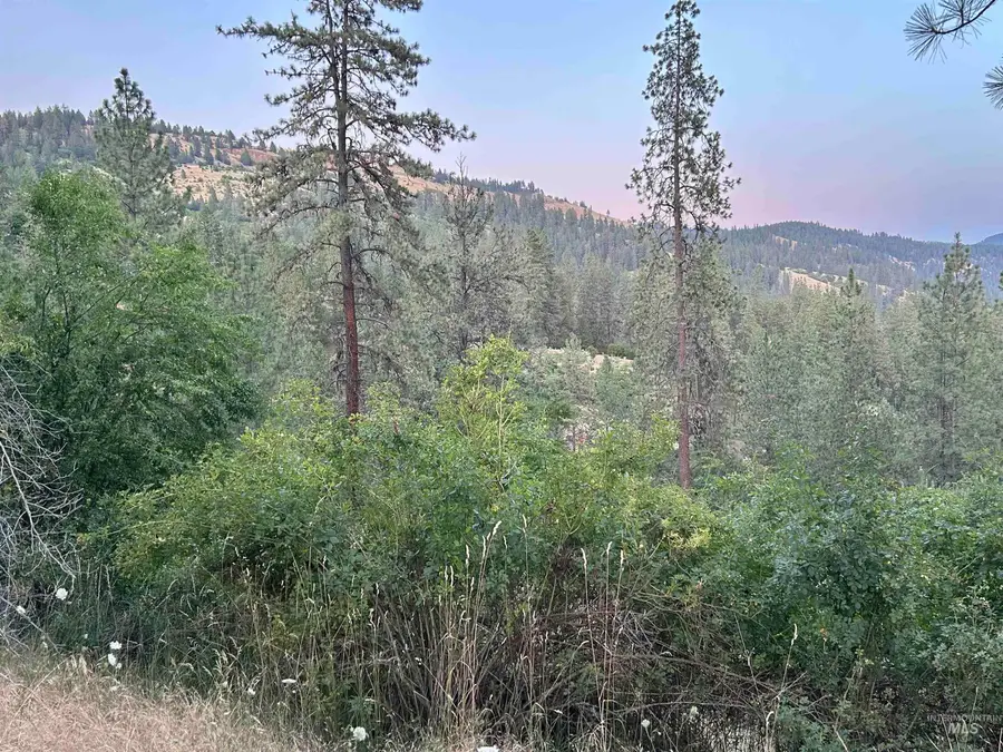 TBD Highland Ct, Orofino, ID 83544 - Image #3