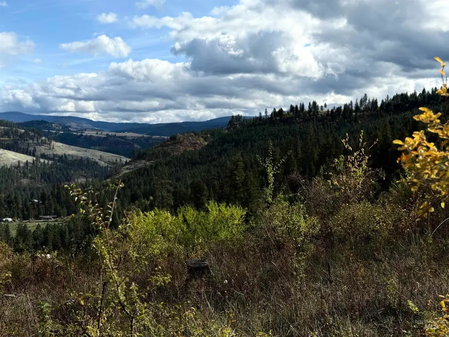 289 Freedom Way, Kooskia, ID 83539 - Image #3