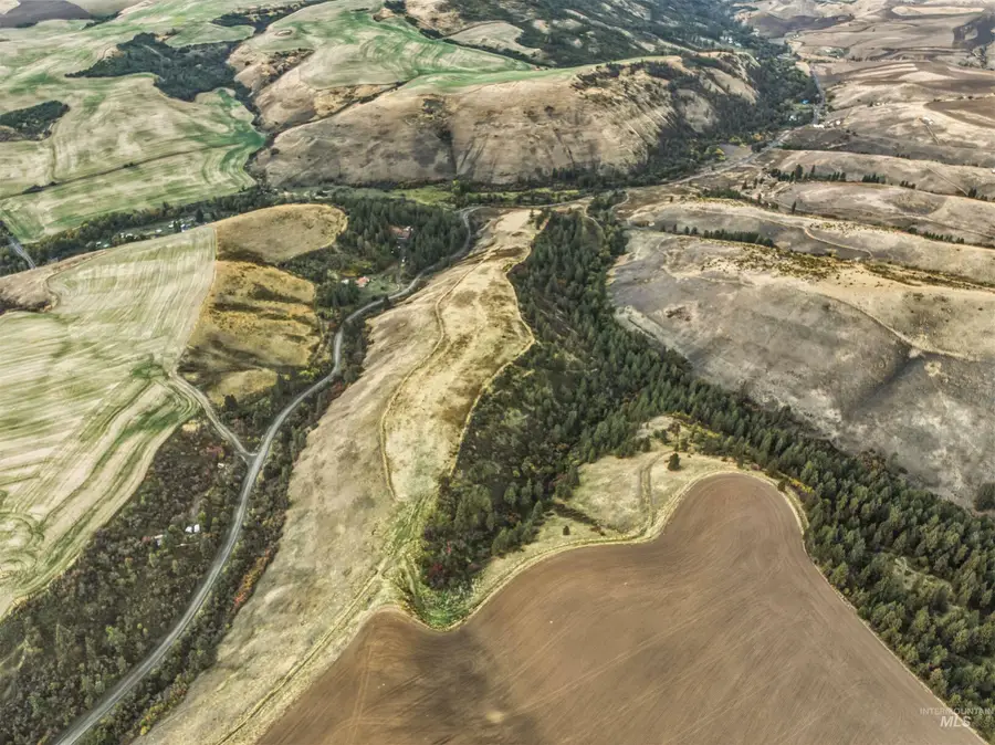 TBD Kettenbach Grade, Nez Perce, ID 83534 - Image #3