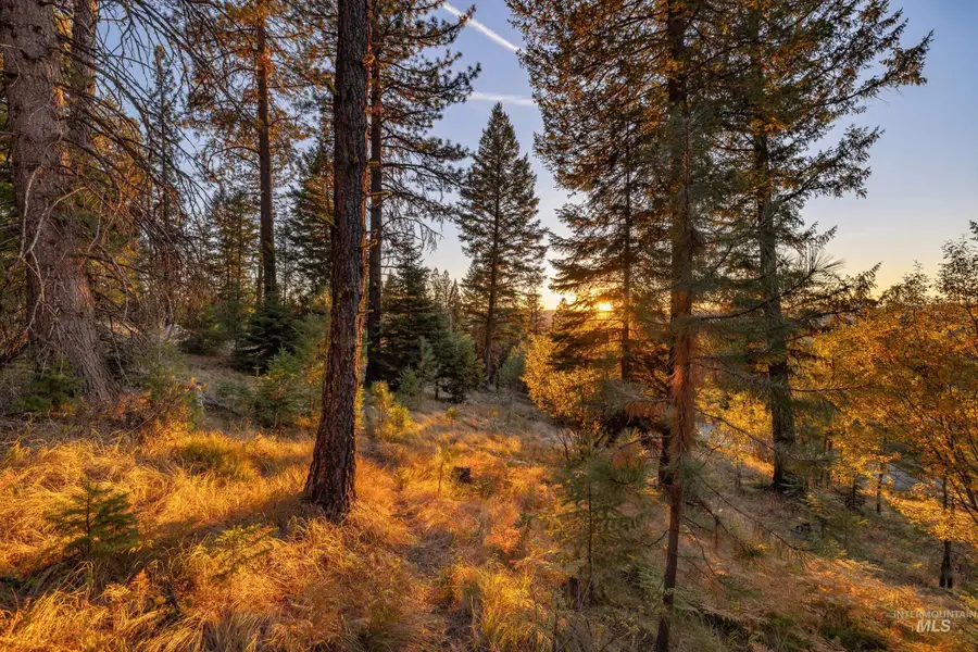 1670 Majestic View Dr., McCall, ID 83638 - #2