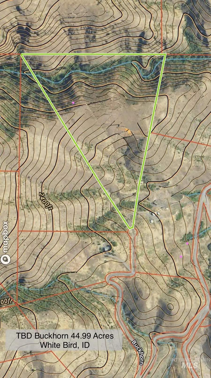 TBD Buckhorn 44.99 Acres, White Bird, ID 83554 - Image #2