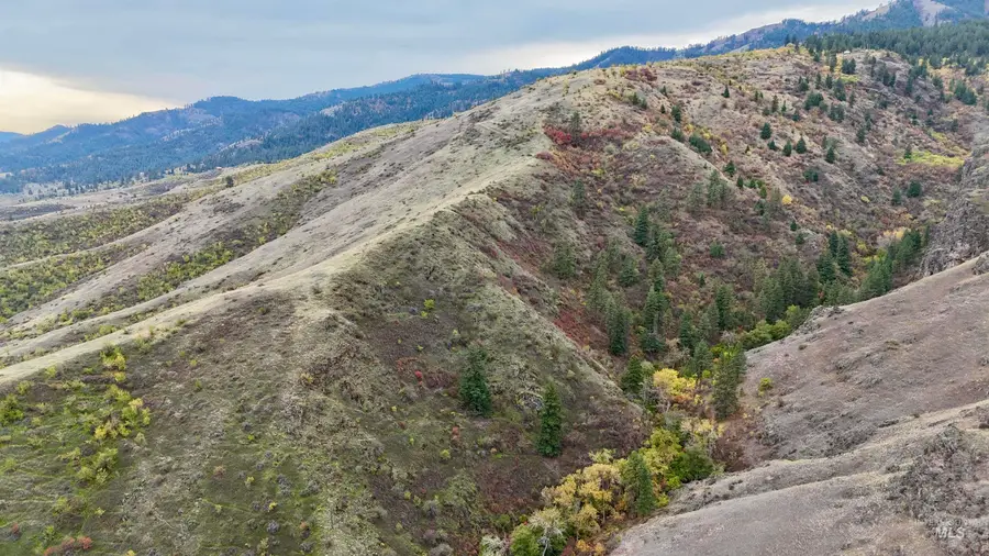 TBD Buckhorn 44.99 Acres, White Bird, ID 83554 - Image #3