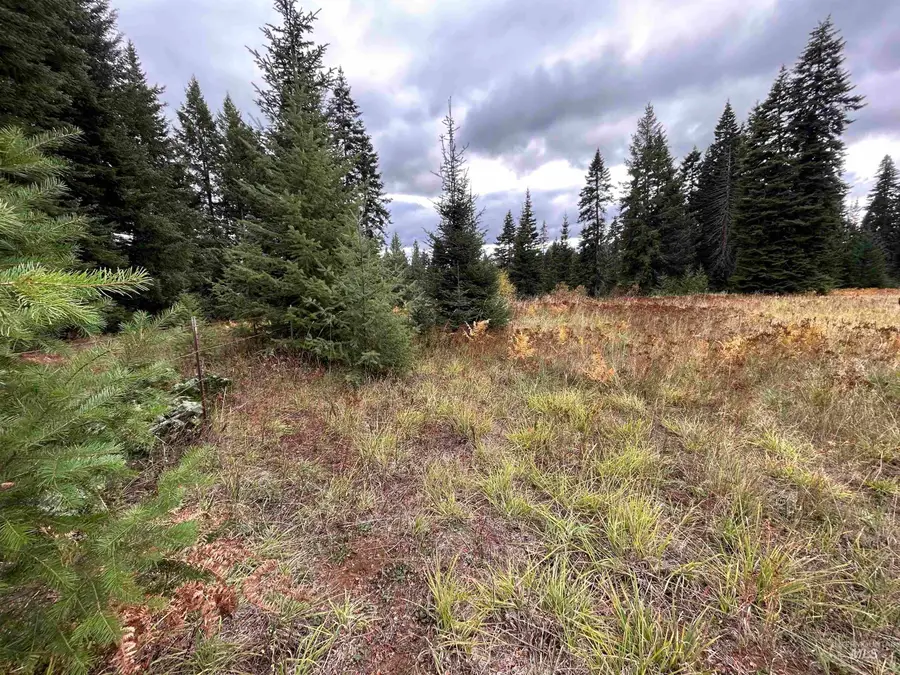 TBD LOT 3 Glenwood Road, Kamiah, ID 83536 - Image #3