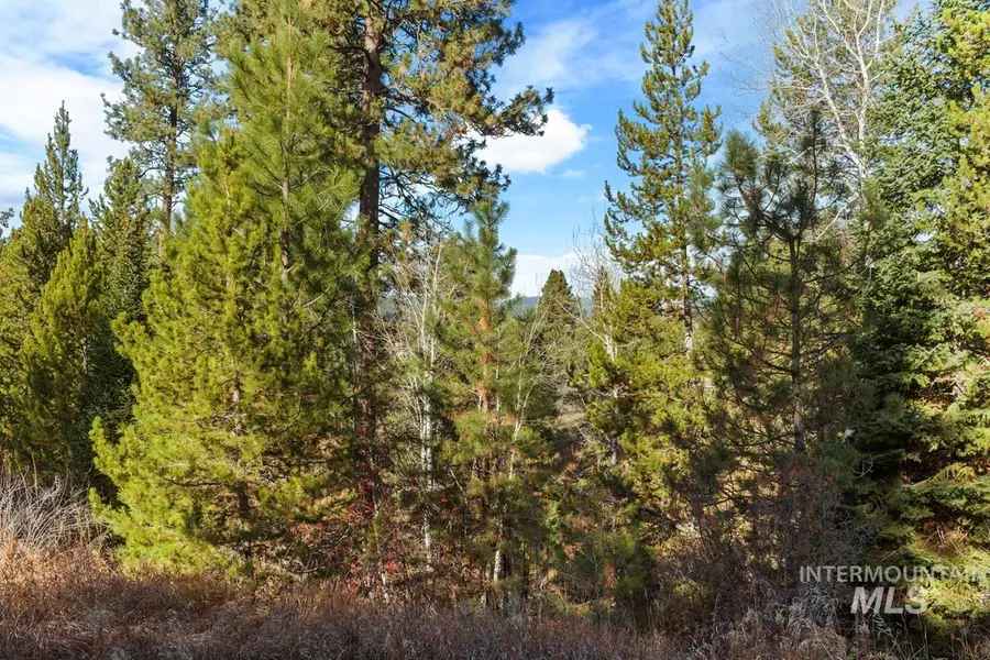 301 W Mill Street, Cascade, ID 83611 - Image #3