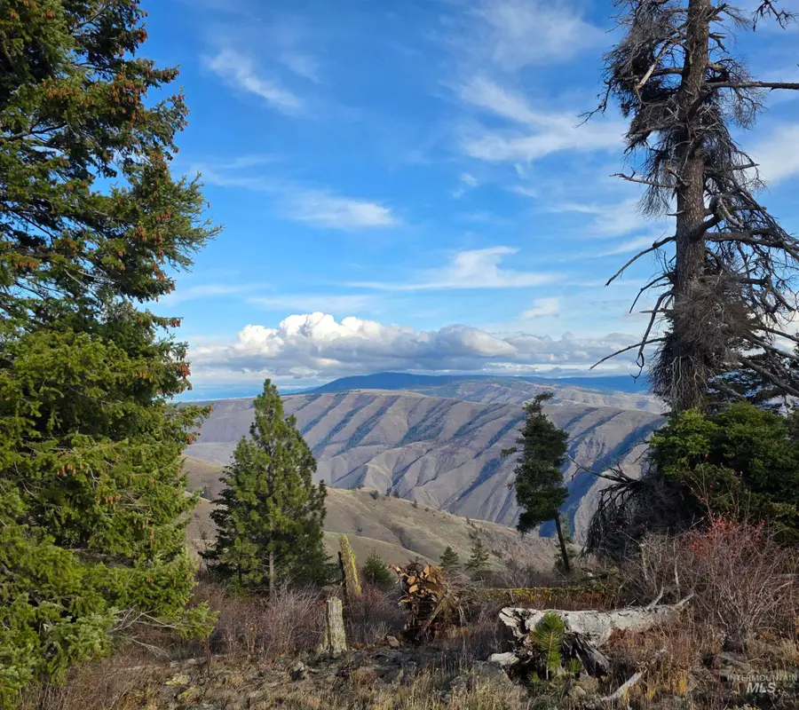 TBD Center Canyon Rd, Cottonwood, ID 83522 - Image #3