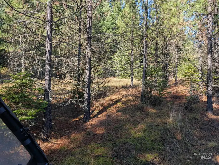 000 Bear Lane, Kooskia, ID 83539 - Image #3