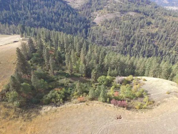 TBD Summit Lot B, Lenore, ID 83541