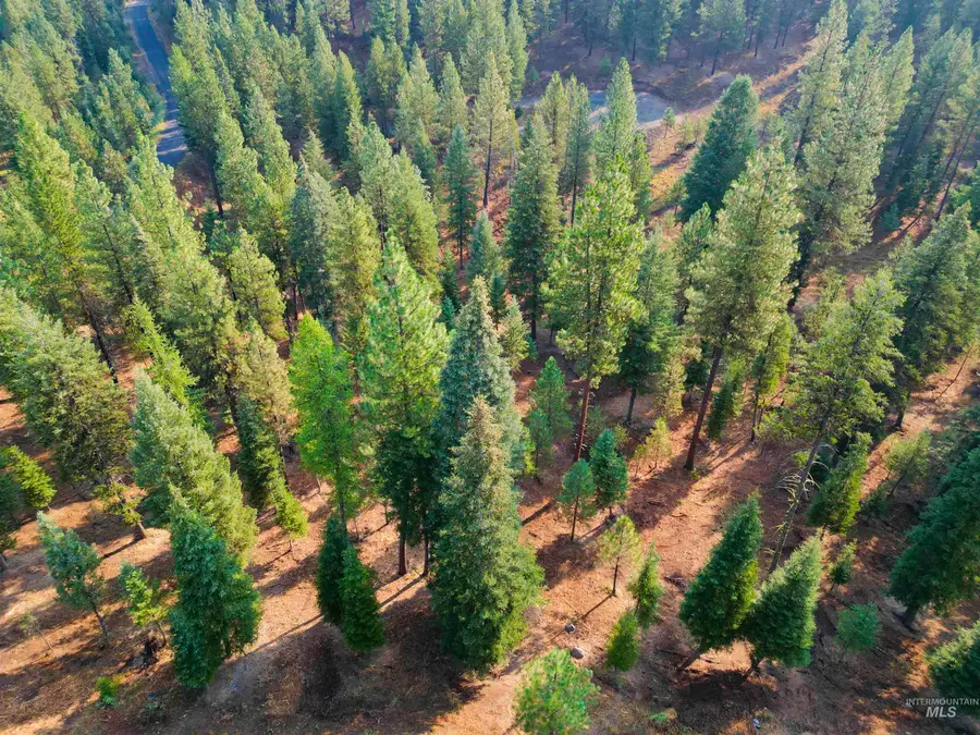 TBD Pine West Drive, New Meadows, ID 83654 - Image #3