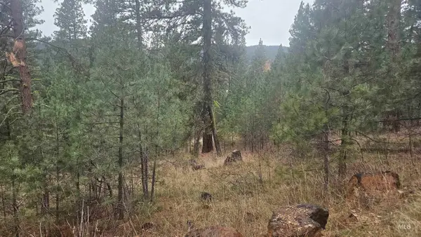 Lot 4 Boise Holcomb #3, Boise, ID 83716
