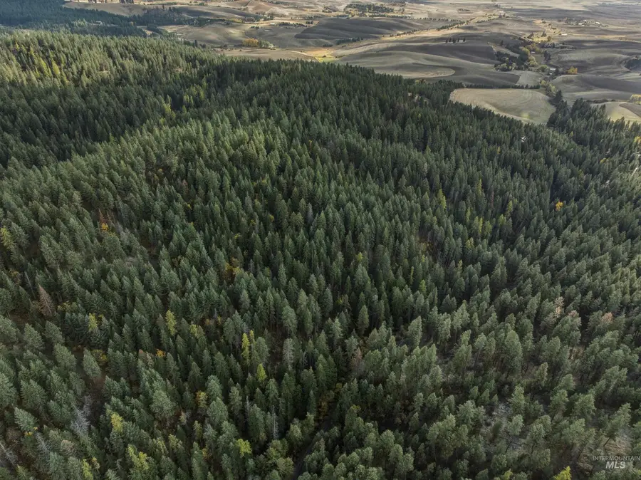 TBD Foothill Rd, Moscow, ID 83843 - Image #3
