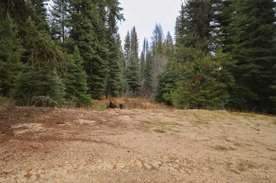 TBD No Business Road, Donnelly, ID 83615 - Image #3